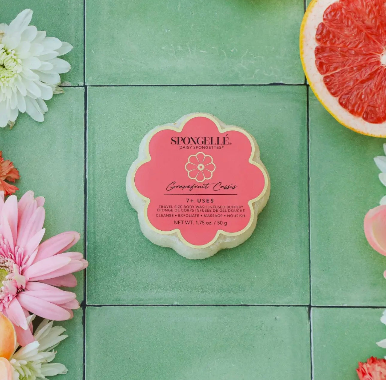 Spongelle Daisy Spongette - Grapefruit Cassis
