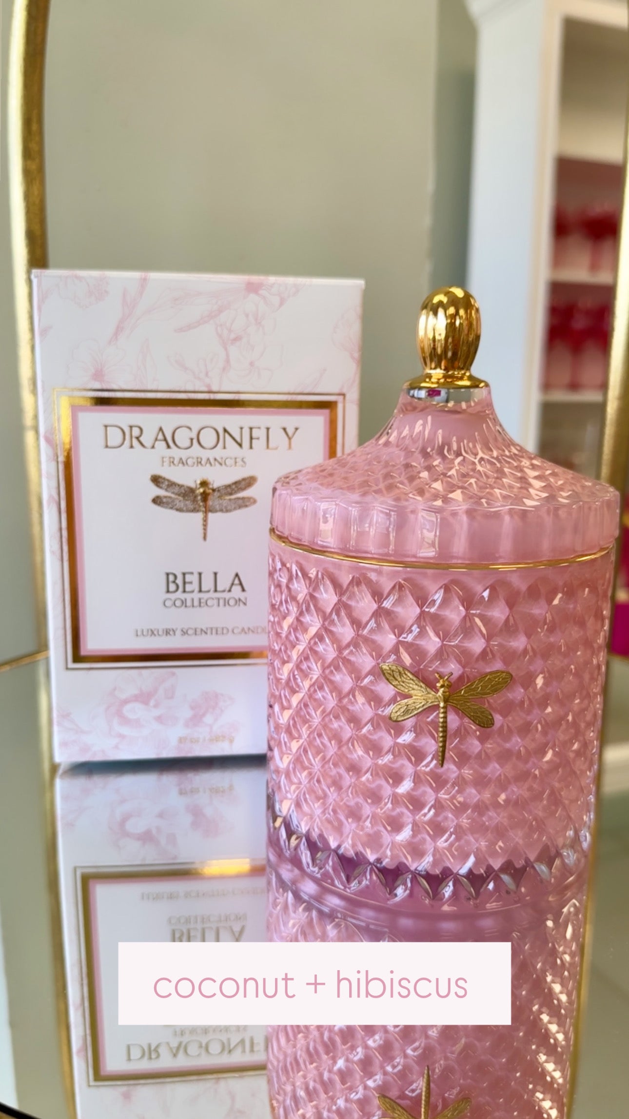 Dragonfly Fragrances Bella Candle 17 oz - Coconut Hibiscus