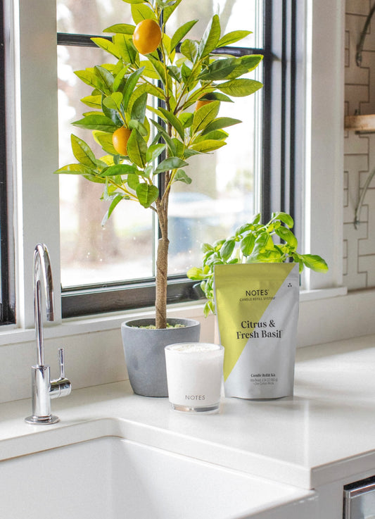 Notes Citrus and Fresh Basil Refill