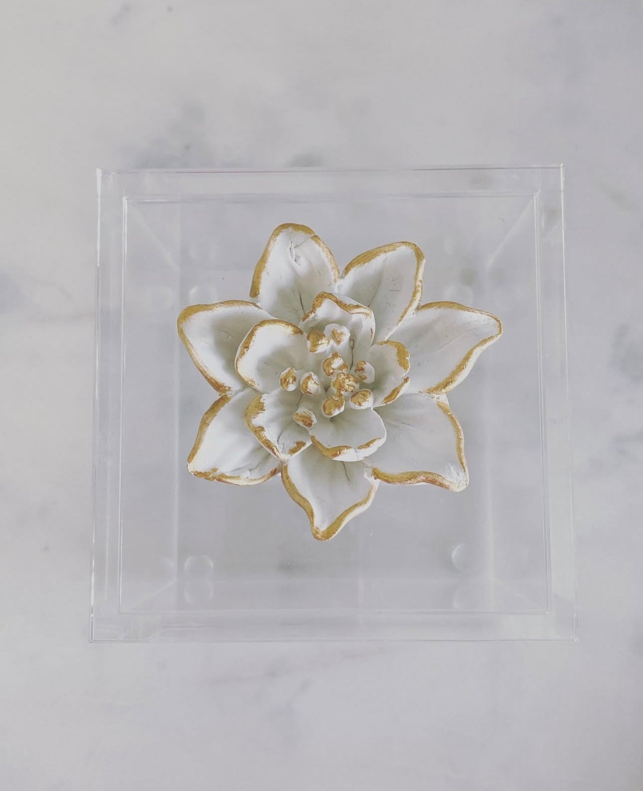 Michelle Allen Designs Acrylic Magnolia Box