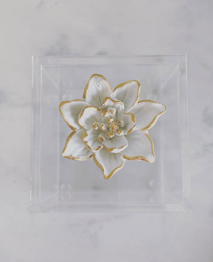 Michelle Allen Designs Acrylic Magnolia Box