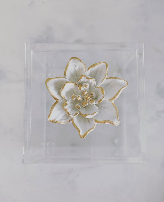 Michelle Allen Designs Acrylic Magnolia Box