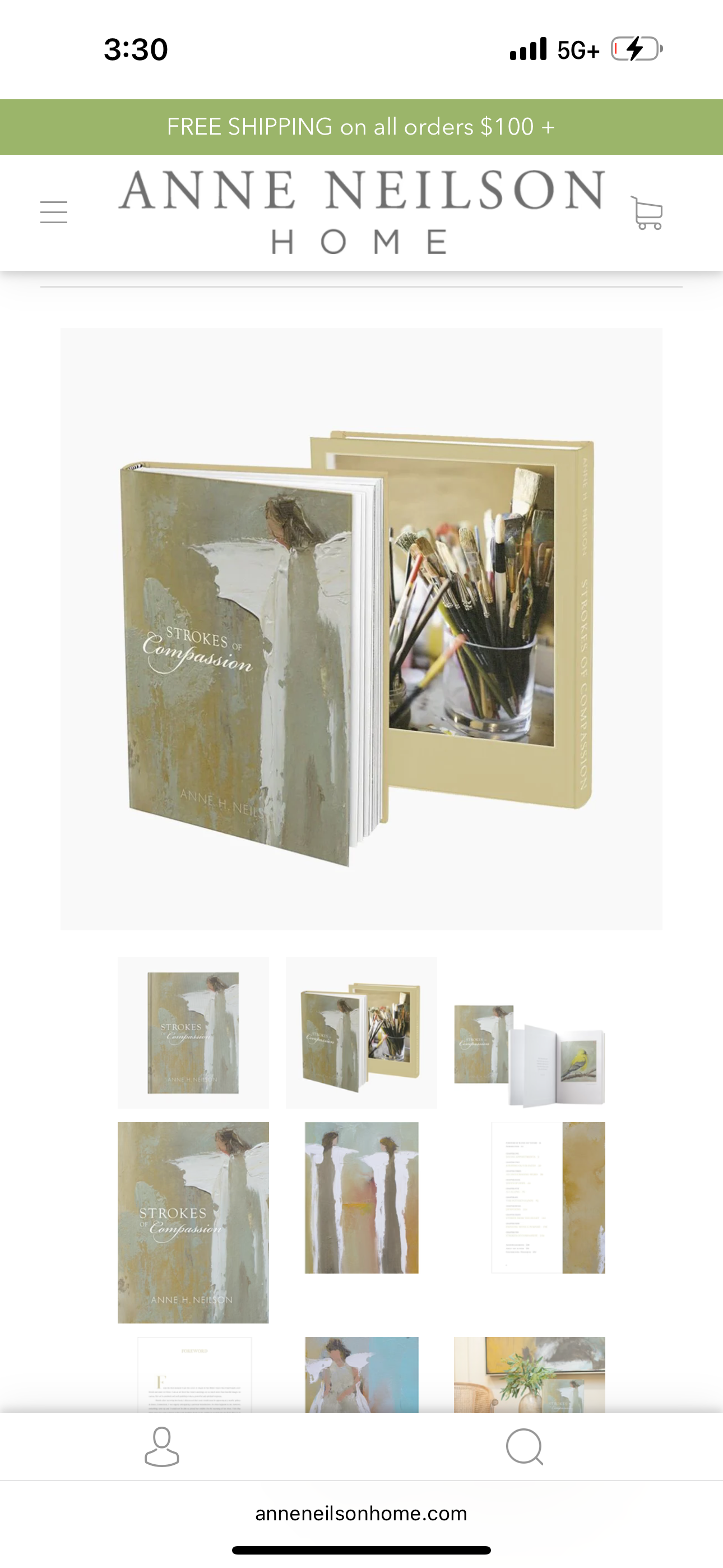 Anne Neilson Strokes of Compassion Book